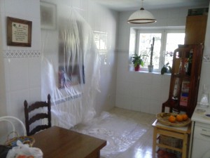 reformasyservicios 047